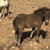 2 mois