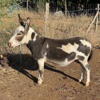 Jumemji à 3 ans.