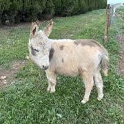 Img 5858